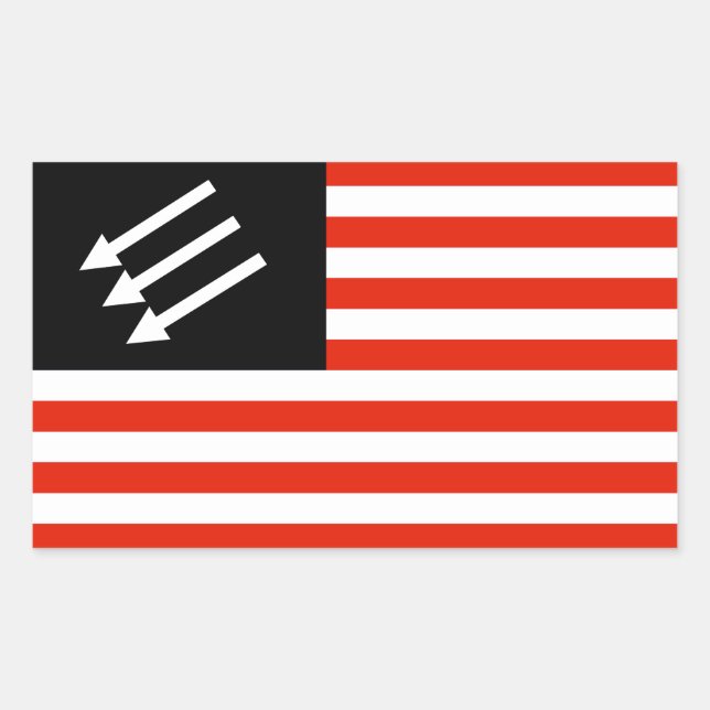 Adesivo Retangular Bandeira Americana Anti-Fascista (Frente)