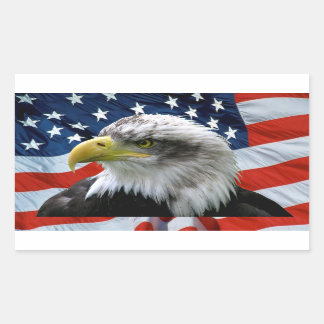 Adesivo Retangular Bandeira Americana Bald Patriótica