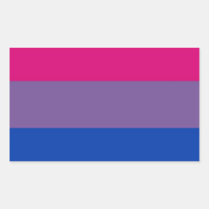 Adesivo Retangular Bandeira Bi Para Orgulho Bissexual