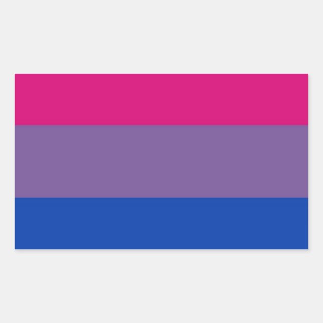 Adesivo Retangular Bandeira Bi Para Orgulho Bissexual (Frente)