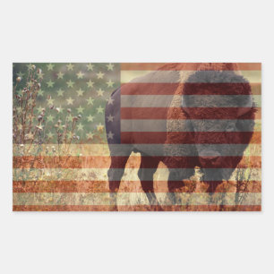 Adesivo Retangular Bandeira do bisonte