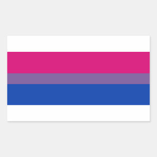 Adesivo Retangular Bandeira do Orgulho Bissexual