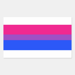 Adesivo Retangular Bandeira do Orgulho Bissexual