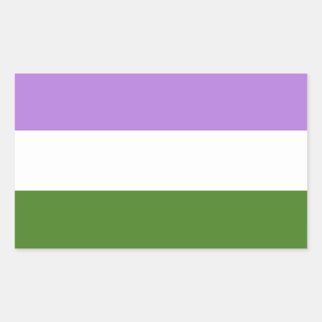 Adesivo Retangular Bandeira do Orgulho Genderqueer (Frente)