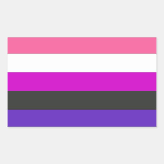 Adesivo Retangular Bandeira do Orgulho Gênero-Fluido (Frente)