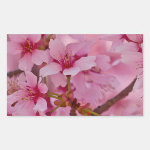 Adesivo Retangular Banhado em flores de cerejeira japonesas cor-de-ro