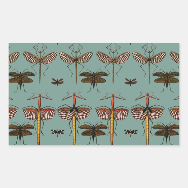 Adesivo Retangular Baquetas, Katídides e moscas (Frente)