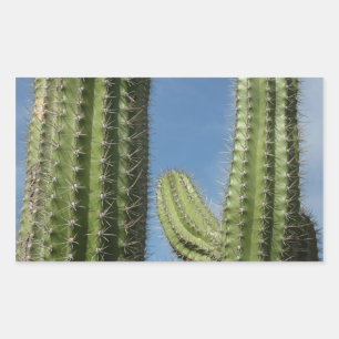Adesivo Retangular Barrel Cactus I Desert Photo