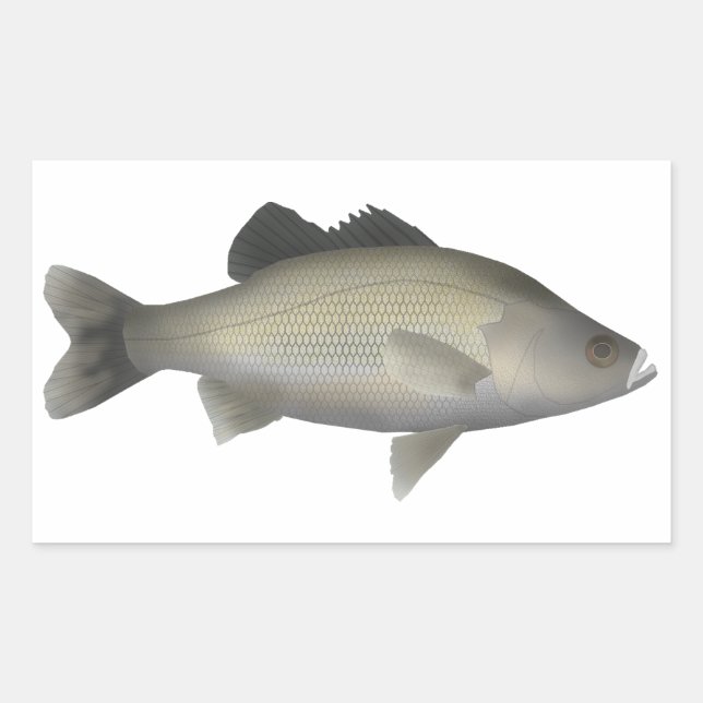 Adesivo Retangular Bass australiano (Frente)