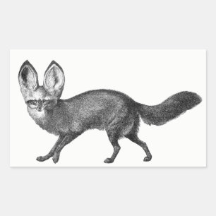 Adesivo Retangular Bat Eared Fox Stickers