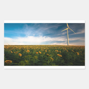 Adesivo Retangular belas flores do sol campo com céu azul nublado a