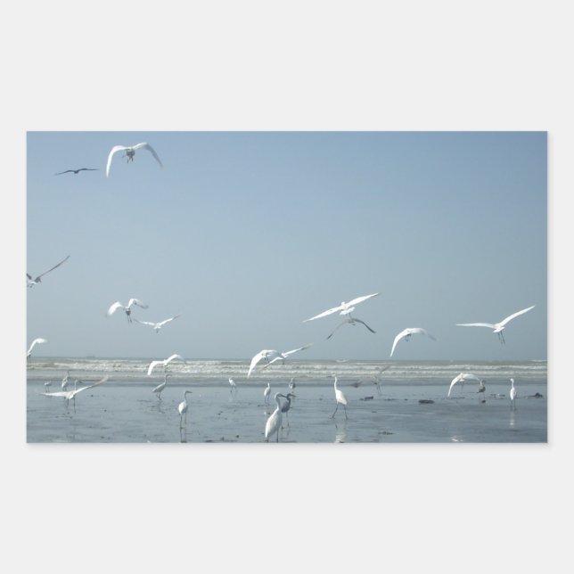 Adesivo Retangular Belas guindastes voando sobre o Balé da natureza (Frente)