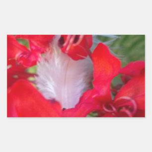 Adesivo Retangular Beleza Delicada: Flor Vermelho com Pena Branca