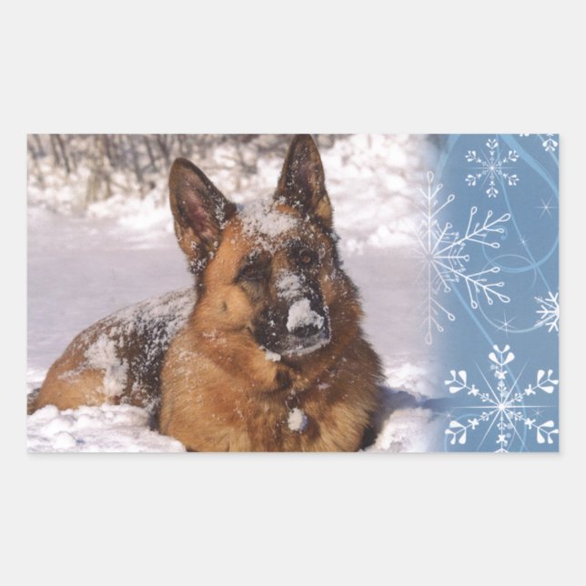 Adesivo Retangular Belo German shepherd Cachorro na neve (Frente)
