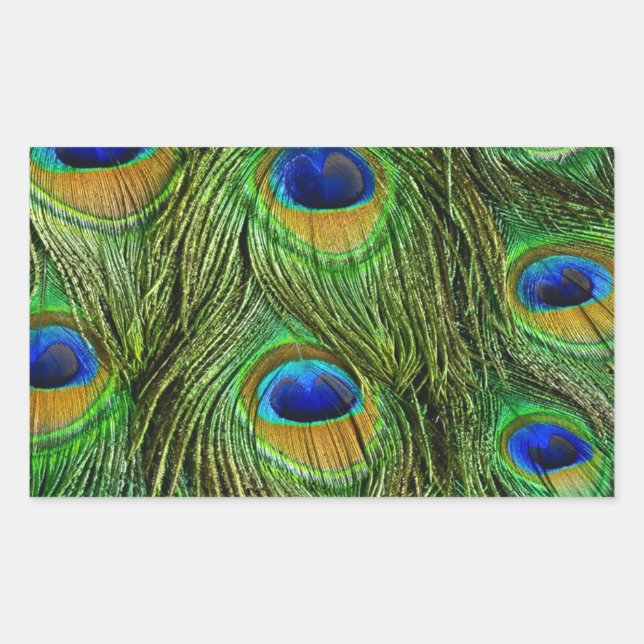 Adesivo Retangular Belo Penas de Peacock (Frente)