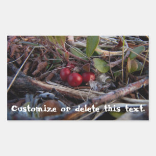 Adesivo Retangular Berries e Twigs; personalizáveis