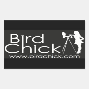 Adesivo Retangular Birdchick Stickers