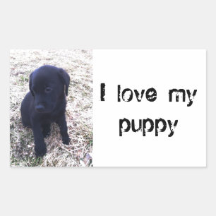 Adesivo Retangular Black Labrador Retriever Puppy