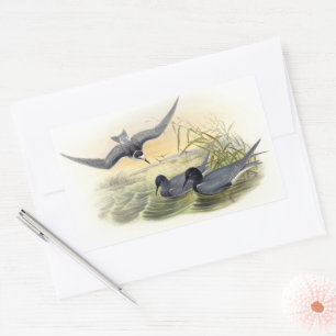 Adesivo Retangular Black Tern