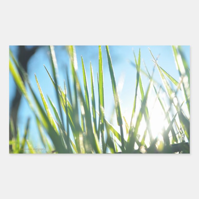 Adesivo Retangular Blades Sunlit (Frente)