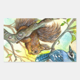 Adesivo Retangular Blue Jay E Squirrel