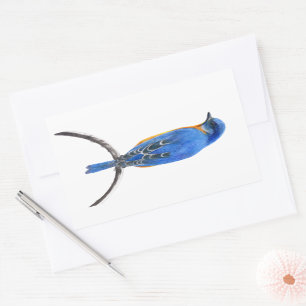 Adesivo Retangular Bluebird