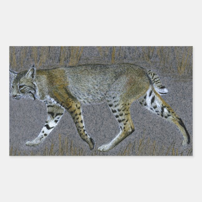 Adesivo Retangular Bobcat (Frente)