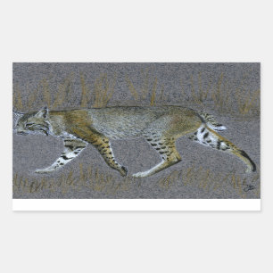 Adesivo Retangular Bobcat
