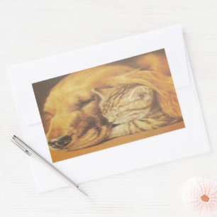 Adesivo Retangular Bonita Impressão de Arte de Cachorro e Gato Incrív