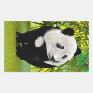 Adesivo Retangular Bonito Amante de os animais Panda Bear Cub Kawaii