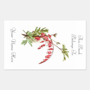 Adesivo Retangular Bookplate floral