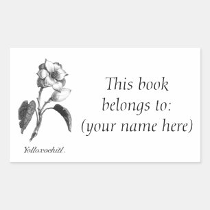 Adesivo Retangular Bookplate gravura a água-forte da flor da magnól
