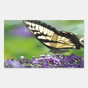Adesivo Retangular Borboleta amarela e preta na Lavanda