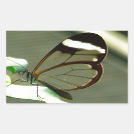 Adesivo Retangular Borboleta-branca-castanha e borboleta-branca-trans