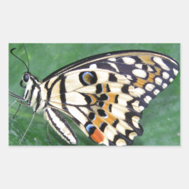 Adesivo Retangular Borboleta branca e preta amarela na folha