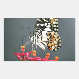 Adesivo Retangular Borboleta branca preta e amarela em flores rosa
