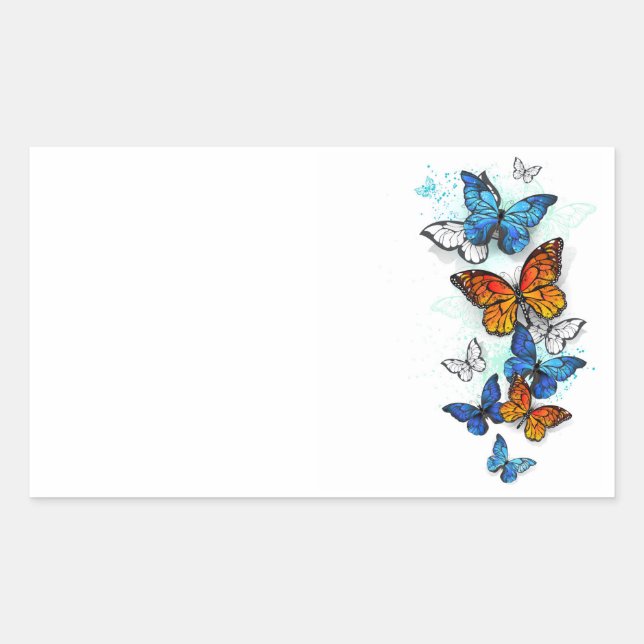 Adesivo Retangular Borboletas voadoras Morpho e Monarca (Frente)