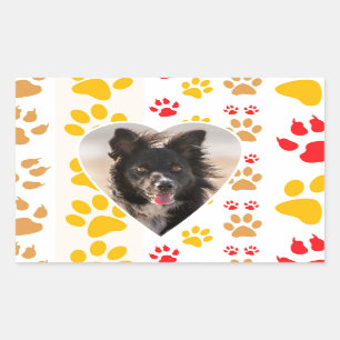 Adesivo Retangular Borda Collie Paw Print Love Heart