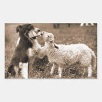 "Border Collie and Lamb"~Sticker