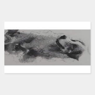 Adesivo Retangular border collie drawing second