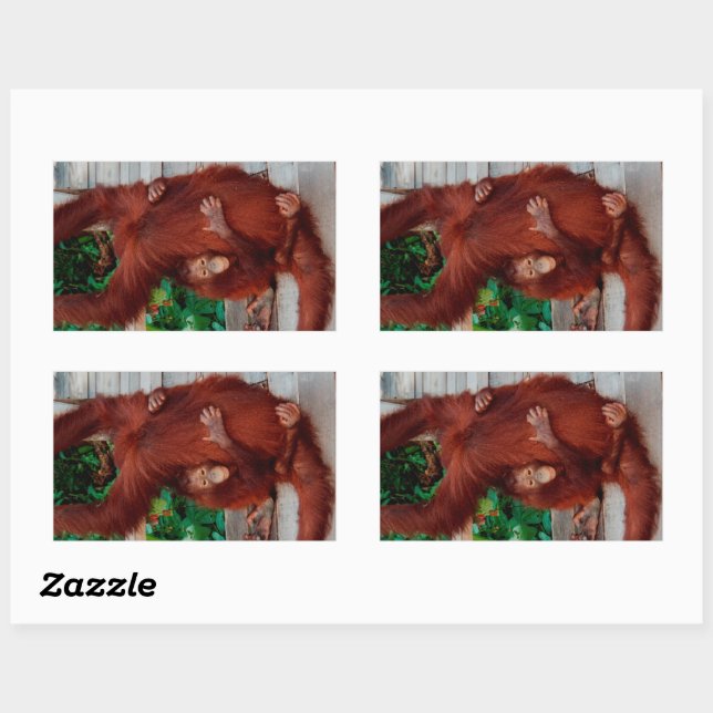 Adesivo Retangular Borneo orangutan (Folha)