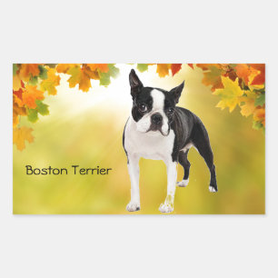 Adesivo Retangular Boston preto e branco Terrier