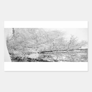 Adesivo Retangular Brancos de inverno