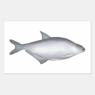 Adesivo Retangular Bream de Olhos Brancos