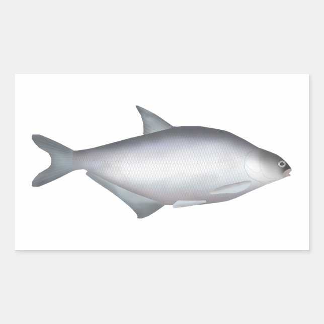 Adesivo Retangular Bream de Olhos Brancos (Frente)