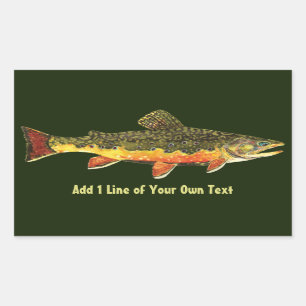 Adesivo Retangular Brook Trout Pescador