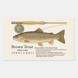 Adesivo Retangular Brown Trout (Salmo trutta) – English Illust