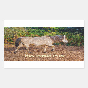 Adesivo Retangular Buckskin New Forest Pony Willife