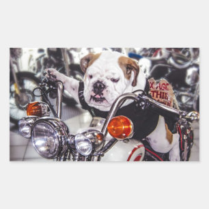 Adesivo Retangular Buldogue na motocicleta