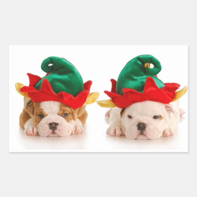 ADESIVO RETANGULAR BULLDOG PUPPIES AS ELVES PERSONALIZADOR (Frente)